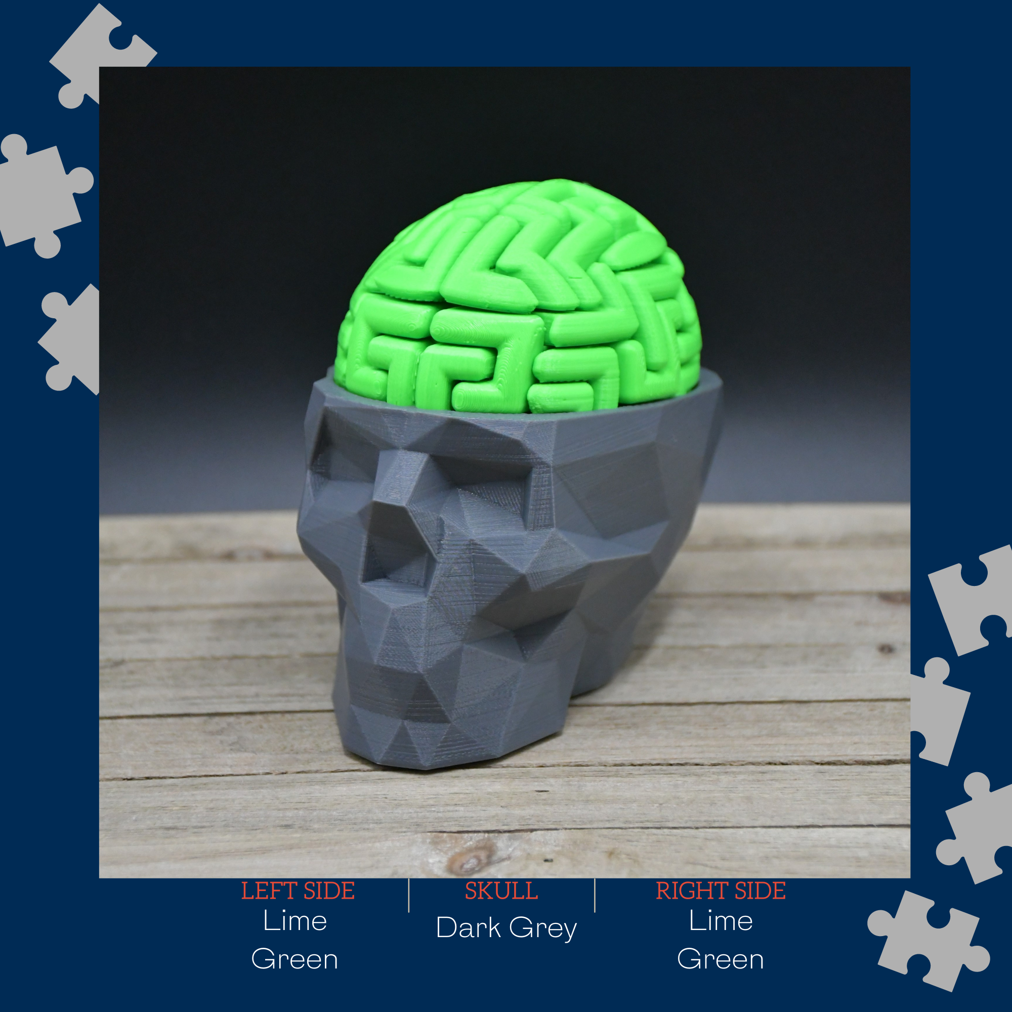 3D Brain Puzzle / 3D 🧠 Puzzle 28 Left Brain Pieces & 28 Right